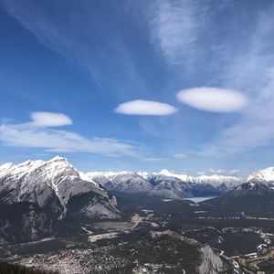 Meet your Posher, Felina